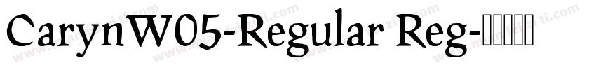 CarynW05-Regular Reg字体转换